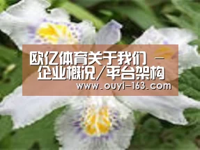 产品名称二