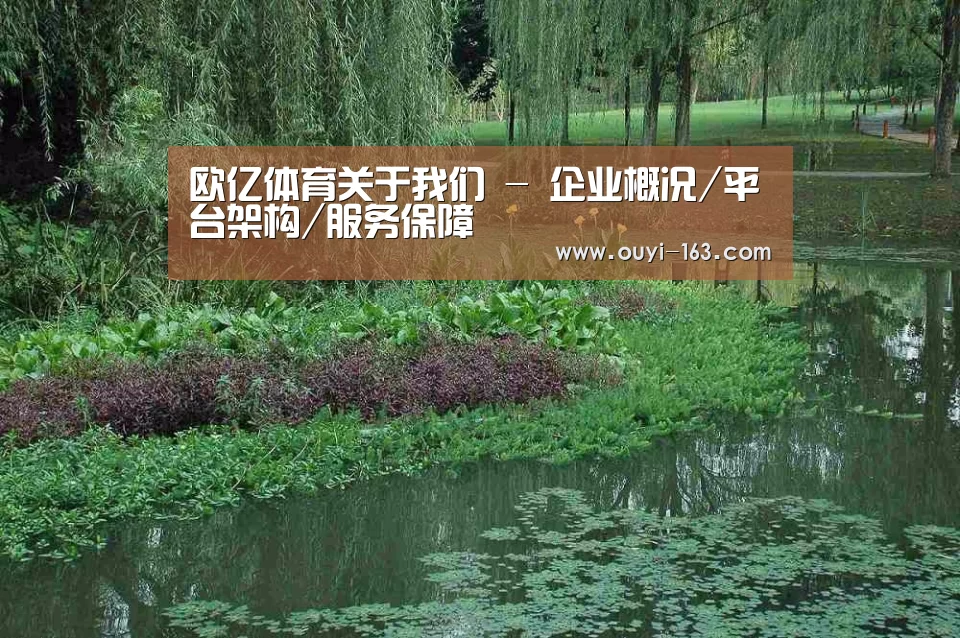 案例展示一