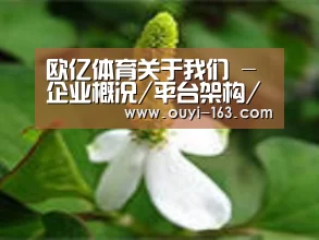 产品名称三