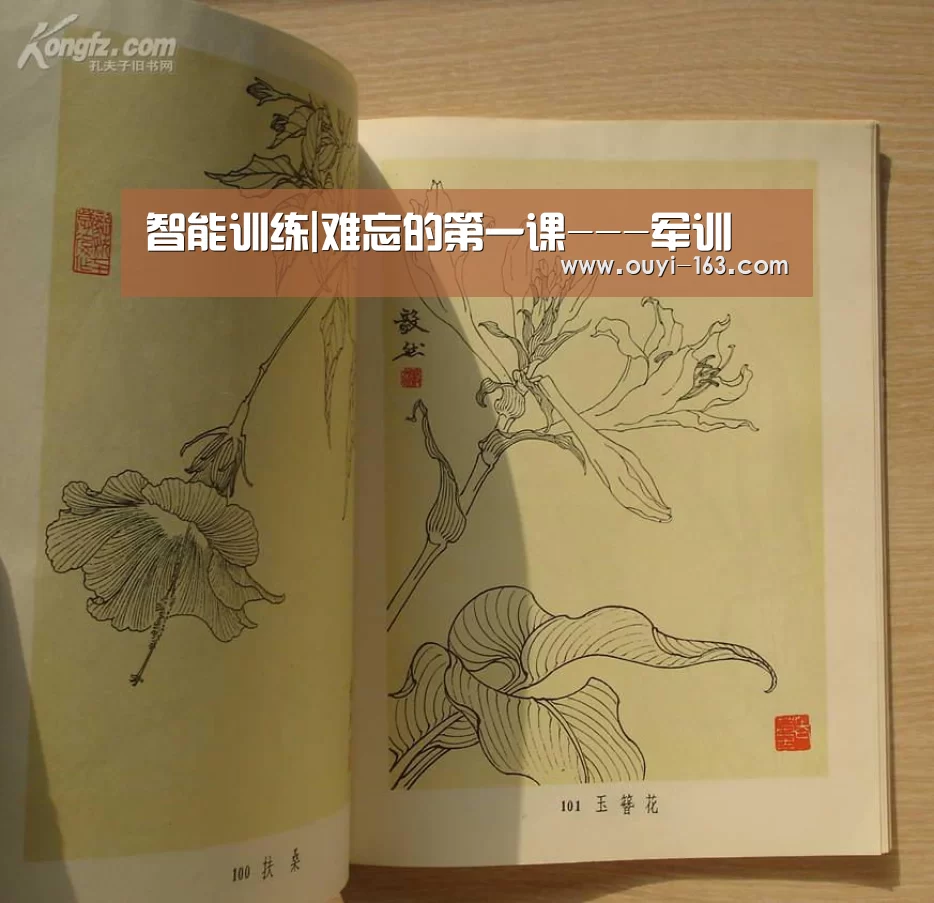 智能训练|难忘的第一课---军训(图2) 智能训练