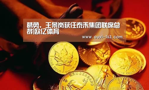 葛勇、王景岗获任泰禾集团联席总裁|欧亿体育(图2) 运动健身