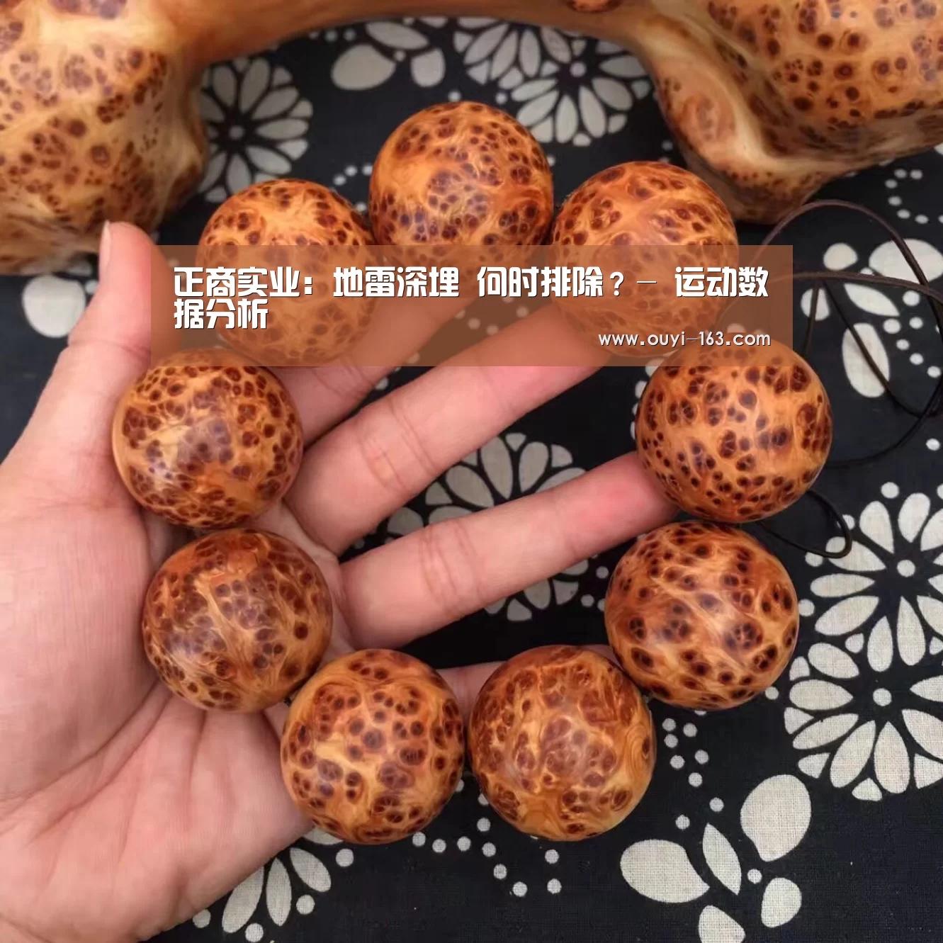  运动健身