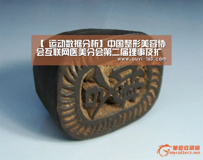 【 运动数据分析】中国整形美容协会互联网医美分会第二届理事及扩大会在三亚召开(图4) 运动数据分析