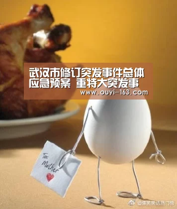 武汉市修订突发事件总体应急预案 重特大突发事件5小时内公布权威信息_ 运动数据分析(图2) 体育资讯