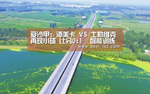 爱沙甲: 潭美卡 VS 土勒维克再现小球 比分0:1- 智能训练